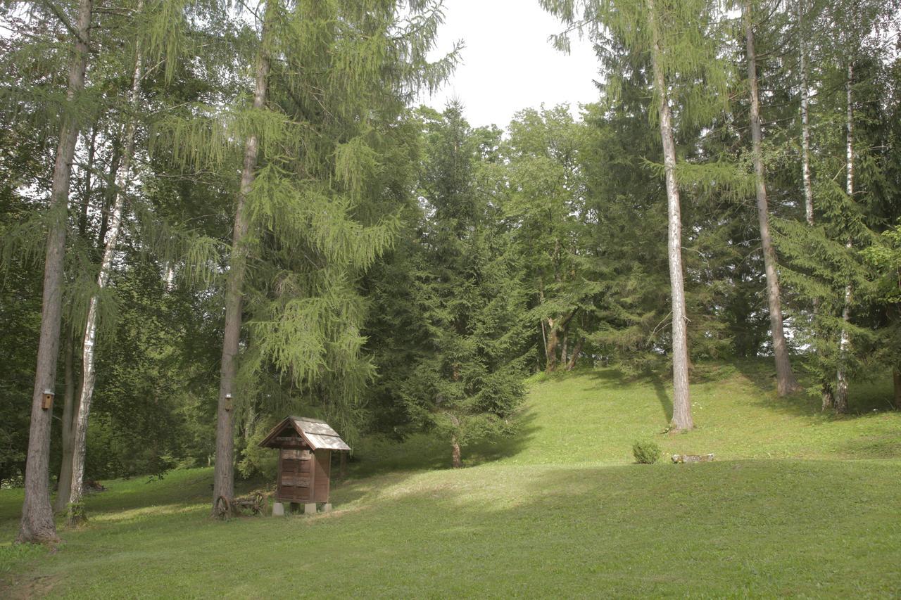 Holiday House Macesen Bledcottage מראה חיצוני תמונה